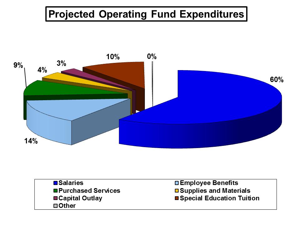 Budgeted Expenditures Salaries $ 48,89,955 Employee $,74,07 Purchased Services $ 7,783,043 Supplies and