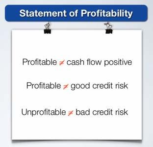 Introduction to The Income Statement STATEMENT OF PROFITABILITY The income statement is the statement of the company s profitability during a specific period of time.