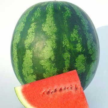 Watermelon (Triple Crown,