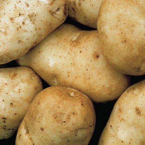 Potatoes (Kennebec/Norland/Red