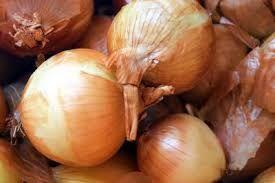 Onions (medium / large