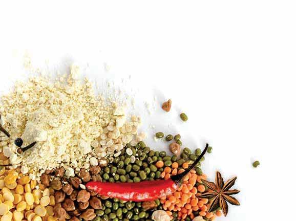 CORPORATE OVERVIEW STATUTORY REPORTS FINANCIAL STATEMENTS 23 DEVELOPING INNOVATIVE PRODUCTS We have developed a portfolio of four pures (chilli, turmeric, coriander, shahi lal mirch).