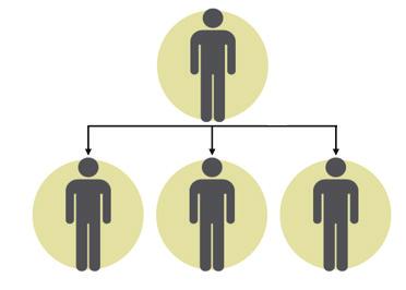 Genealogy Tree: This is the Company s overall structure that indicates how and where Associates are placed.
