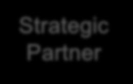 financing Strategic Partner Ownership