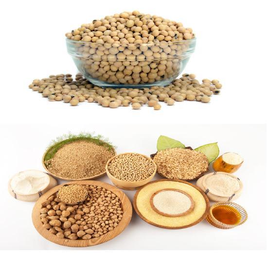 OUR PRODUCTS The product portfolio of the Company comprises of : Processed goods Non-genetically modified organisms (non-gmo) soya meal Organic soya oil Organic Soya Chunks / Nuggets / Granules