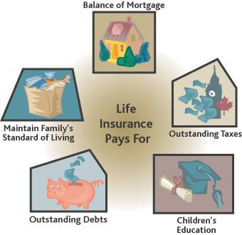 Life Insurance Although the basic purpose of life insurance is to provide your dependents with a continuing source of income if you die, it also provides for other financial needs.