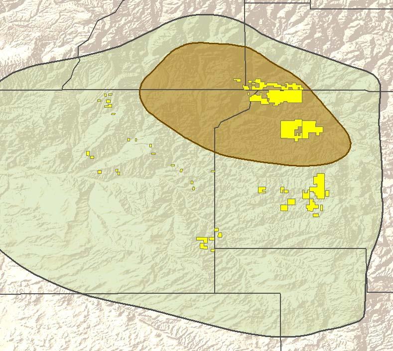 NIOBRARA SHALE HBP Long-term Optionality La Plata Durango Niobrara Shale Gas Archuleta Gas phase 58,500 net undeveloped acres 854 Bcfe of possible reserves Oil phase 54,000 net undeveloped acres