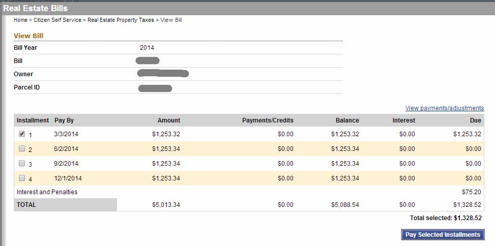 Confirm the Amounts and click on the Pay Bill button. This will start the payment process.