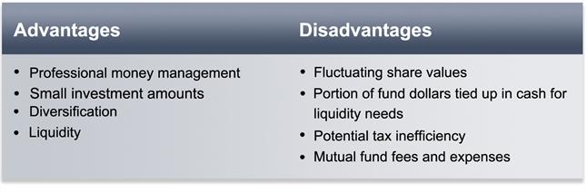 Mutual Funds The principle behind a mutual fund is quite simple.