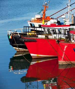 by the European Maritime and Fisheries Fund Ireland s EU