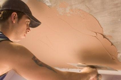 Plastering & Ceiling Services The main activities for businesses in this industry are installation of plasterboard sheets and solid (or wet) plastering.