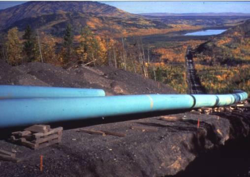 Pipeline Transmission 36 looping