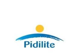 LETTER OF OFFER THIS DOCUMENT IS IMPORTANT AND REQUIRES YOUR IMMEDIATE ATTENTION This Letter of Offer is sent to you as a registered Equity Shareholder of Pidilite Industries Limited (the Company )