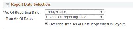 Step 8. Verify that the Tree As Of Date field defaults to Use As Of Reporting Date. If it has not defaulted, select it. 9.