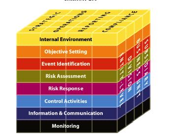 31000 Risk Organization and Governance Structure Risk Appetite, Tolerance and Limits Risk Management