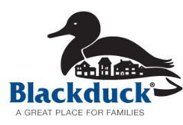 CITY OF BLACKDUCK Revenue Budget for 2018 General Fund GENERAL FUND Account Description 2016 Budget 2017 Budget 2018 Budget R 101-31000 General Property Taxes $118,926.72 $155,133.00 $170,686.
