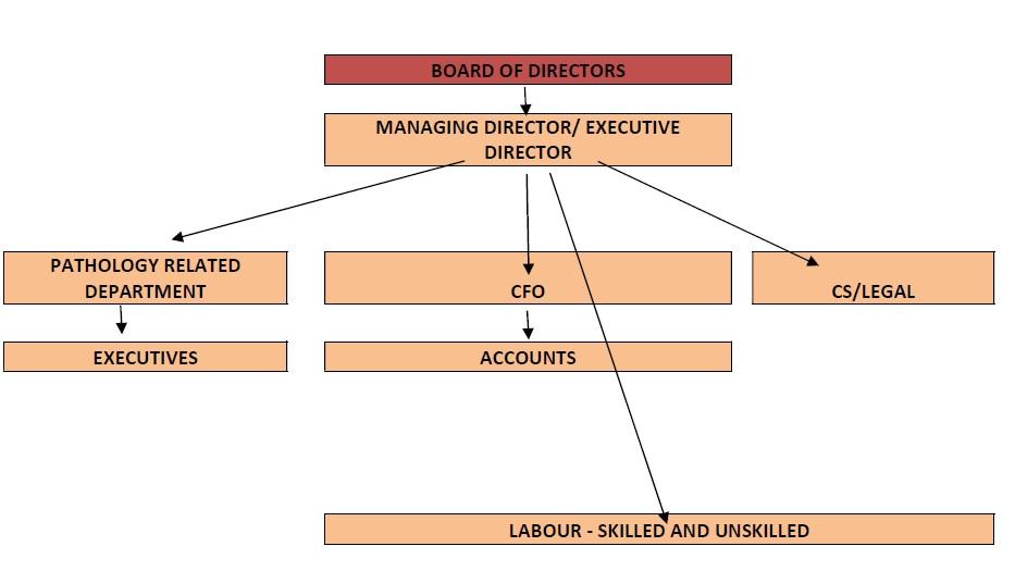 ORGANIZATION STRUCTURE KEY MANAGERIAL PERSONNEL Our Company is managed by its Board of Directors, assisted by qualified professionals, in the respective field of finance/ capital market and corporate