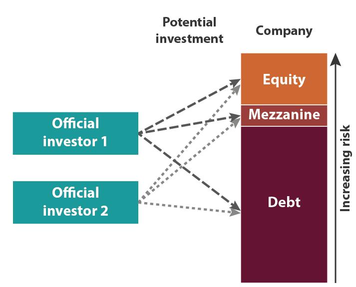 4. DIRECT INVESTMENT IN COMPANIES DESCRIPTION For the purpose of this methodology, direct investment in companies refers to on-balance sheet investments in corporate entities which are conducted