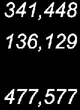 within one year 13 (136, 394) (49, 009) Net