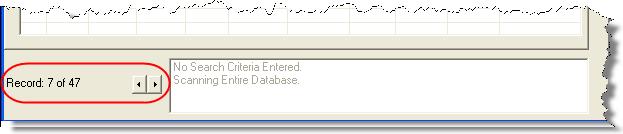 Use the arrows at the bottom of the screen to view any multiple records for the SSN/EIN entered.