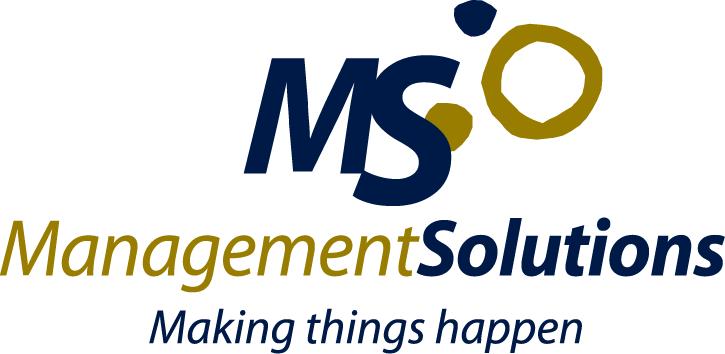 Management Solutions 2017.