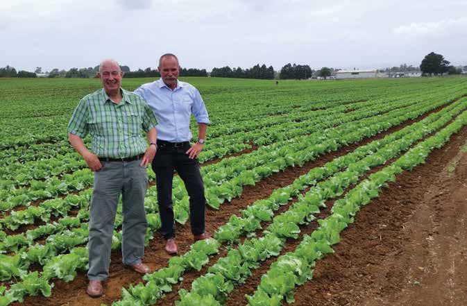 OUR YEAR TIMELINE HortNZ s new chief executive Mike Chapman (left) gets up close to the Pukekohe vegetable industry with HortNZ director Leon Stallard.