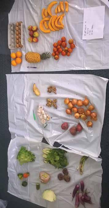 MARCH HortNZ calls for harsher penalties for yachties who knowingly flout biosecurity rules after a woman is fined $3000 for trying to bring undeclared fruit and vegetables in to the country on her