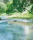 Clear water at Sungai Kancing, Taman Rimba In accordance with its Environmental Policy, the Company shall:- 1.