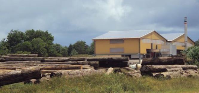 new biomass power plant in French Guiana Country French Guiana Cacao Biomass plant Technology