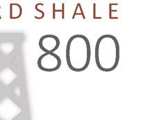 Leonard Shale Potential Expands Leonard Shale Type Well Key Modeling Stats 30 Day IP BOED EUR MBOE D&C Cost $MM Oil % of EUR 1,000 Devon has 60,000 net surface acres in the core of the Leonard Shale
