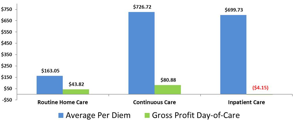 VITAS Analysis of Gross Profit