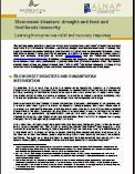 Slow-onset disasters: drought and food and livelihoods insecurity - learning from previous relief and recovery responses Source(s): ALNAP, ProVention Consortium Number of pages: 19 p.