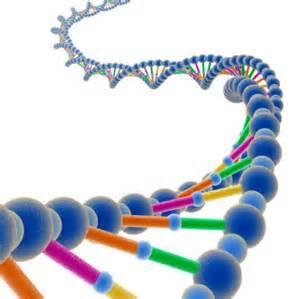 Genetic Information Now specifically