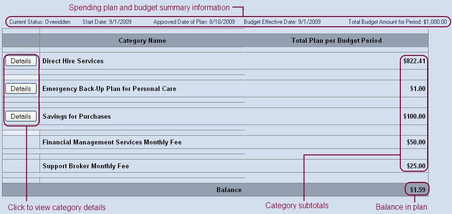 The Spending Plan Details table will expand. At the top of the table is the budget and spending plan summary information.