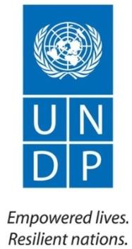 United Nations Development Programme Terms of Reference 1 Consultancy Roster on Budget Processes, Economic Assessments and Poverty/Gender Analysis for the Poverty-Environment Initiative Project