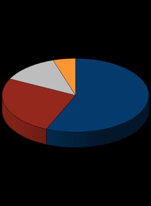 CAGR across segments (%) 51% 30% 28% 25% 21% 14% 12% Focus on