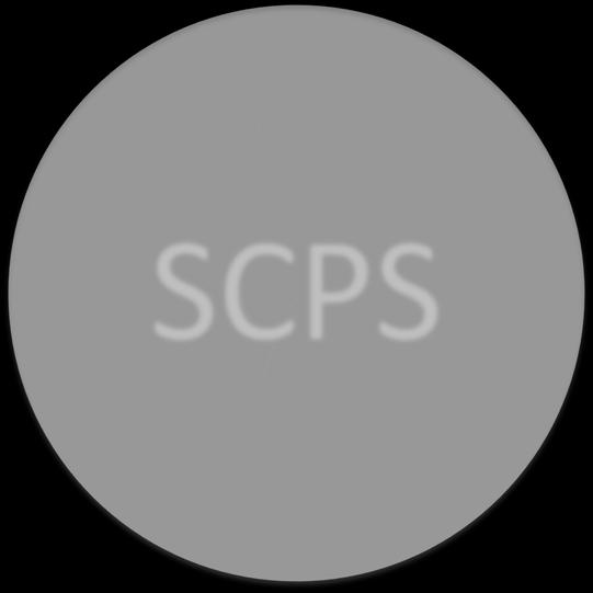 SCPS Revenue