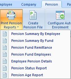 Add any additional pension information to Employee Details The majority of fields on the Pay Elements Pensions tab will be completed via the Auto Enrolment feature.