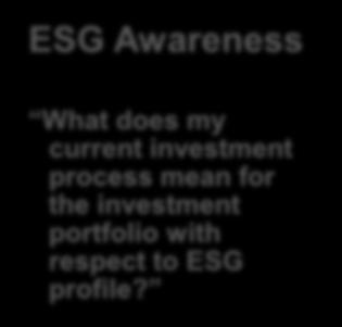 Integrating ESG into the Investment Process