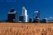 Crop Shortfall (CSF) hedge for agro-industries 30% Country Region Crop Pre-season Expected Market Production (Mt) Insured : Crushing Company Ltda 15'000'000 Brasil Parana Soybeans 15'000'000 PARANA