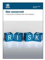Appendix A A BRIEF GUIDE TO CONTROLLING RISKS IN THE WORKPLACE (indg 163).