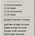 General Ledger To add a new budget account from the City Budget menu, select Bgt/Dev then Add New Budget Account. Enter all pertinent information for the budget account to add.