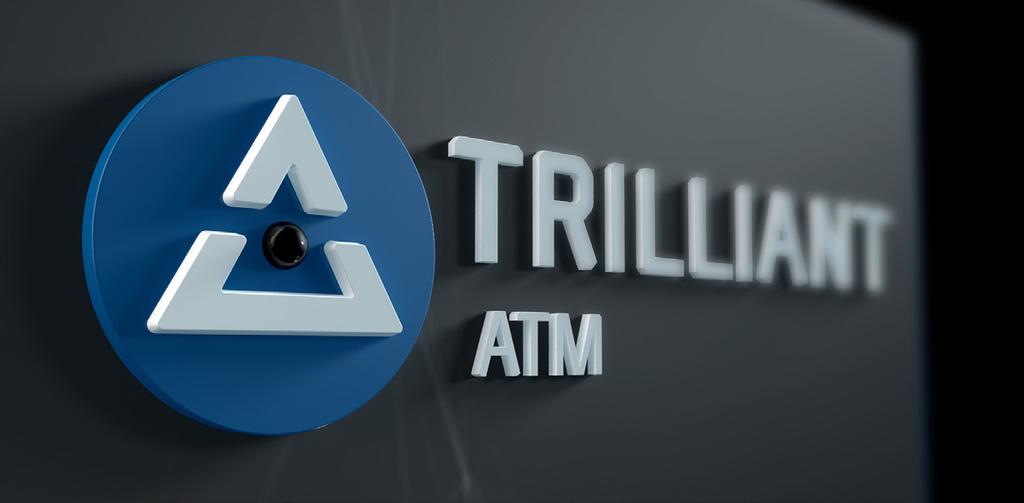Trilliant Company Details 2.