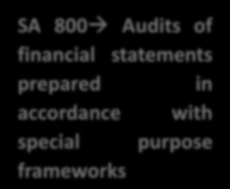in the Independent Auditors report