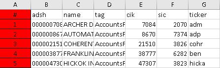 The first column combines the company s adsh number, the company s name, and the tag used for a particular row. The second column displays the numerical value associated with that row.