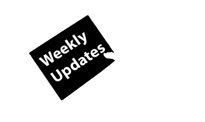 Income Tax Update Custom Update RBI Update