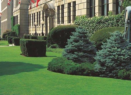 If we were in Landscaping, the lawns would be impeccable. To be successful in any business, attention to detail is crucial.