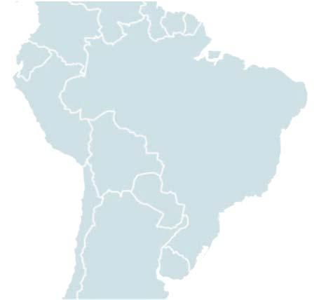 Medium 17% Brazil 69% Corrugated 31%