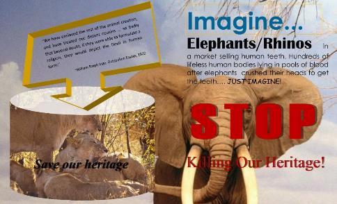 The posters were distributed in schools and colleges around the following National Parks: Maasai Mara, Lake Bogoria, Lake Nakuru, Nairobi, Tsavo, Meru, Mount Kenya, Ruma, Mount Elgon and Amboseli.