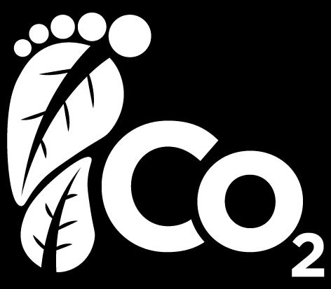 CO 2 footprint of our equity